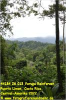 44184 26 013 Veruga Rainforest, Puerto Limon, Costa Rica, Central-Amerika 2022.jpg